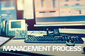 link a Management Process